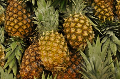 Preview: Natural background of fresh pineapples