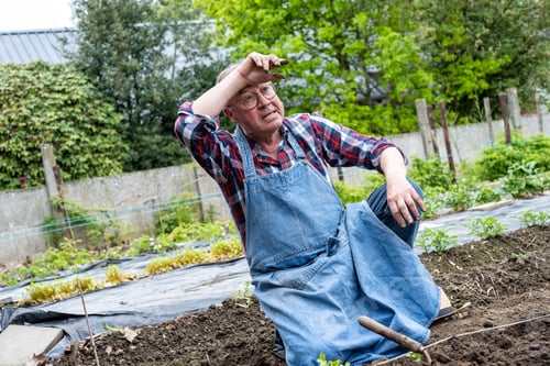Preview: Elderly man at work in his garden takes a moment of rest, dries his forehead from sweat