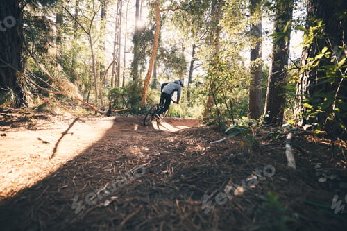 Preview: Fitness, bicycle freedom and man outdoor on a forest path with extreme and exercise adventure. Bike