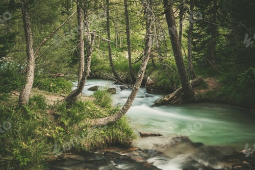Preview: Scenic Forest River