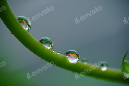Preview: Creative drop of water