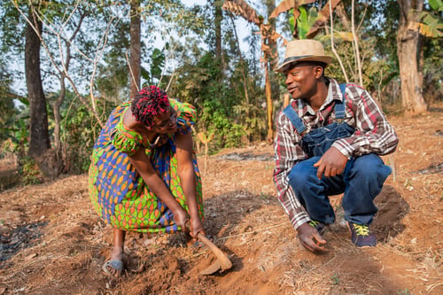 Preview: Two African farmers hoe the fields and have a conversation, agriculture in Africa