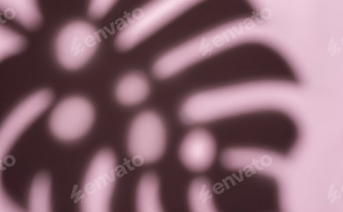 Preview: Shadows from monstera leaves