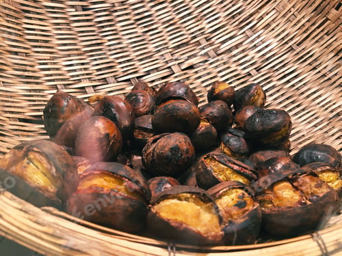 Preview: Japanese chestnuts 🌰 Roasted chestnuts