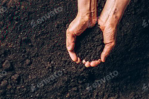 Preview: Dirty woman hands holding dark moist soil. Agriculture, organic gardening, planting or ecology