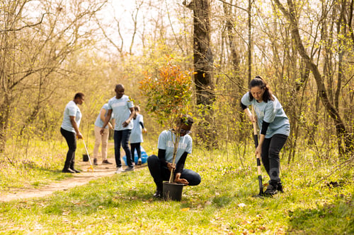 Preview: Diverse activists joining forces in digging holes to plant trees