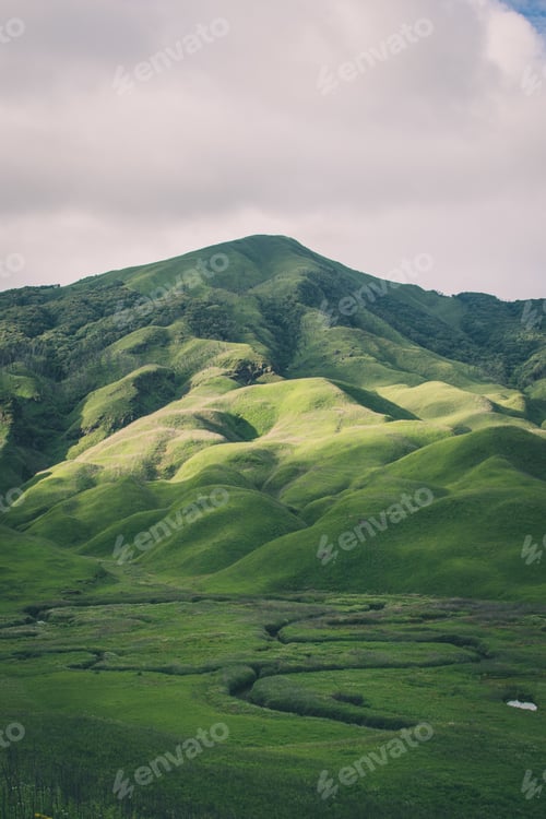 Preview: Vertical shot of mountains covered in greenery - perfect for mobile