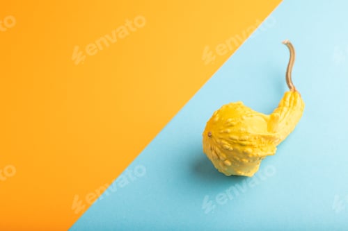 Preview: decorative orange Pumpkin on blue and orange pastel paper, side view, copy space