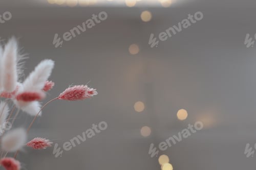 Preview: Beautiful flowers composition. Dried flowers on pastel background agains blurred bokeh lights