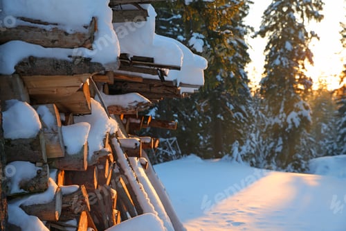 Preview: Stack of firewood covered with snow outdoors on sunny day