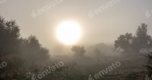 Preview: Early autumn morning with sun and fog in the steppe.
