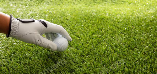 Preview: Golf ball in gloved hand, green course lawn background, close up view.
