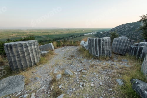 Preview: Columns of Priene