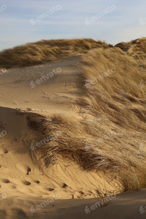 Preview: Beautiful view of sand dunes in Rubjerg Knude, Denmark