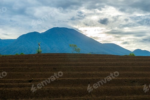Preview: Beautiful morning view indonesia, Panorama Landscape paddy fields with beauty color and sky natural