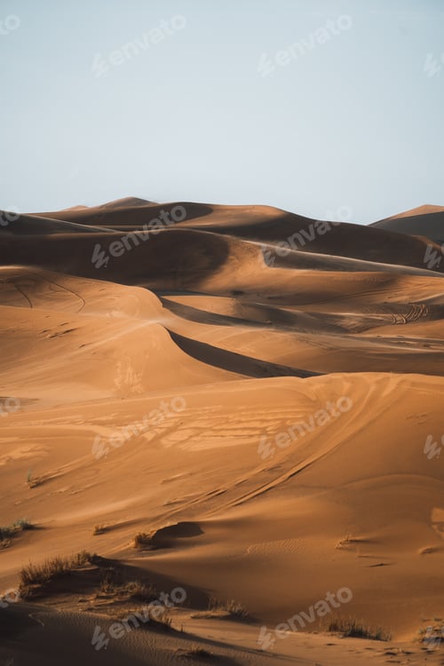 Preview: Sand texture in Morocco Sahara Merzouga Desert portrait oriented