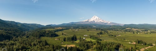 Preview: Aerial Panoramic View of American Landscape and Green Farm Fields
