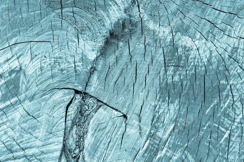Preview: Spotty Wooden Texture, Old With Cracks, Closeup For An Abstract Natural Background Of Monochrome