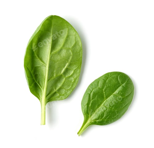 Preview: fresh green spinach leaves
