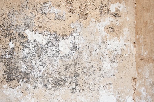 Preview: Cracked concrete wall covered with gray cement surface. Grey old wall with shabby damaged plaster or