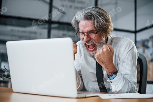 Preview: Expressive mature businessman with grey hair and beard in formal clothes is in the office