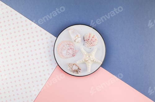 Preview: Plate with seashells on color paper background