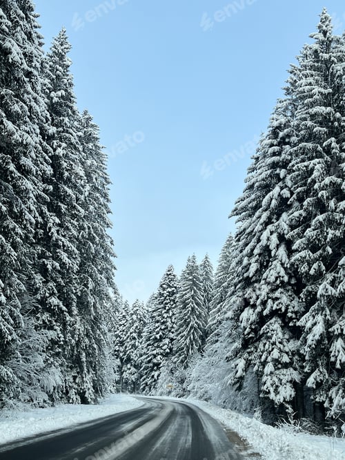 Preview: Forest drive