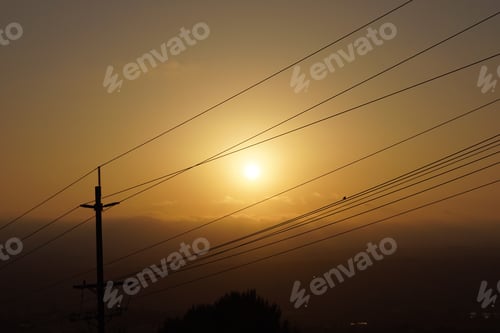 Preview: A single bird on a wire watching the sun set on another day