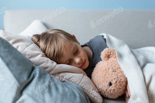 Preview: Preschool boy sleeps on the sofa in the living room, hugging his teddy bear.