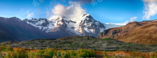 Preview: Typical Icelandic landscape with field of blooming lupine flowers