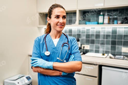 Preview: Animals for examination and treatment in the veterinary clinic