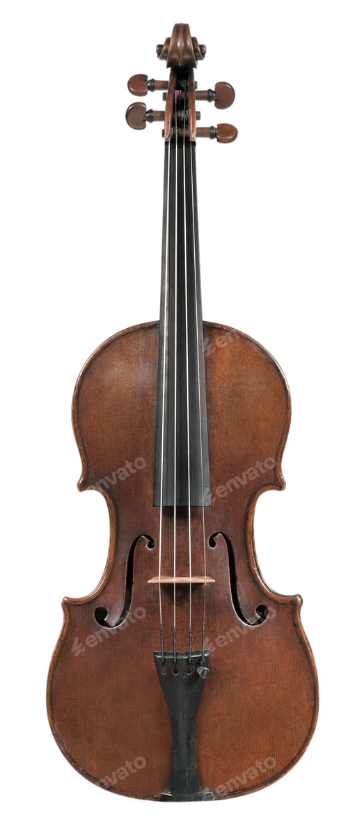 Preview: Classical violin - isolated (white background)