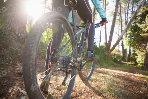 Preview: Low Section Of Female Mountain Biker Riding Bicycle In Forest