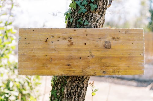 Preview: Blank wooden plaque nailed to an ivy-covered tree