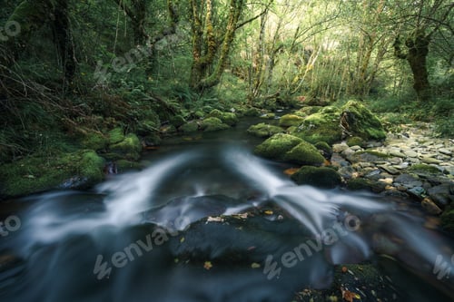 Preview: A stream runs through the dark bottom of a wooded valley