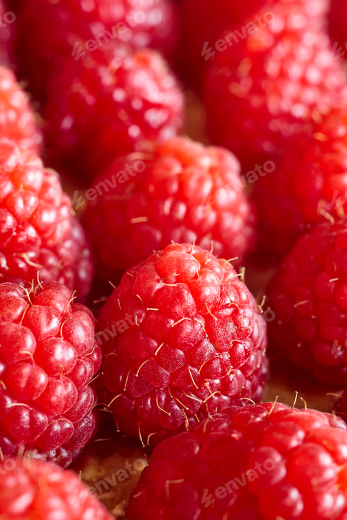 Preview: Delicious raspberry cake detail. Homemade classic