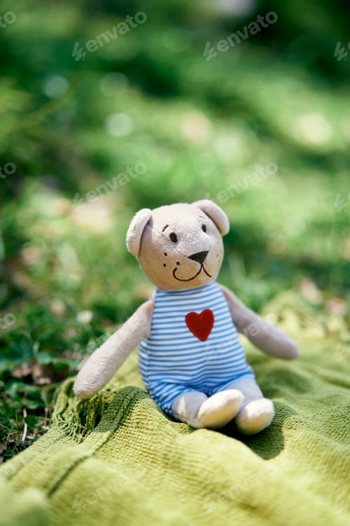 Preview: Teddy bear sits on a green blanket on the lawn. Close-up