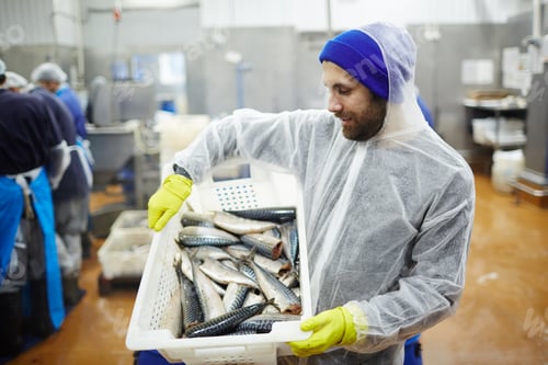 Preview: Man with fish