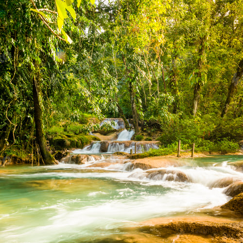 Preview: Agua Azul Mexico