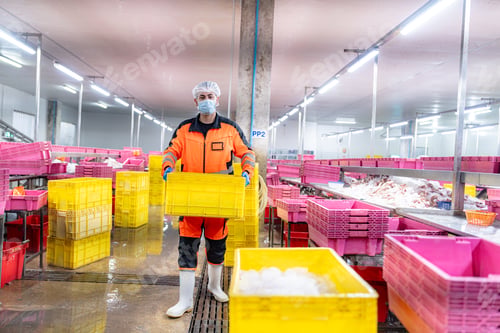Preview: Transport workers lift fresh fish and seafood in the factory.