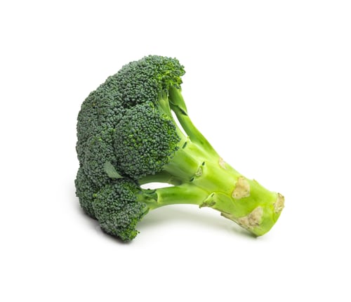 Fresh Green Broccoli Isolated on a White Background