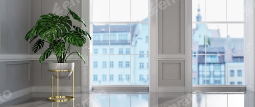 Preview: Classic empty interior apartment with monstera plant.