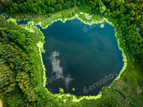 Preview: Green algae on the lake. Aerial view of nature, Poland.
