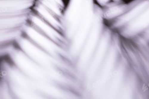Preview: Palm leaves and shadows on a color wall background.