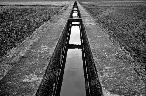 Preview: Water irrigation in Sekinchan paddy field