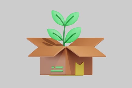 Preview: Sprouting plant in a cardboard box