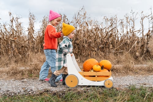 Preview: Children collecting pumpkins and playing with wooden wagon in pumpkin patch.