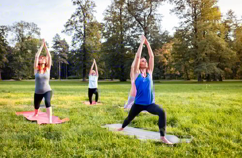 Preview: Mixed age group of people practicing yoga outside in the park