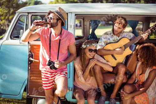Preview: Group of friends having fun at music festival