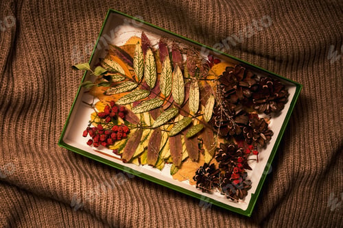 Preview: Cozy composition of autumn leaves in the box on sweater.